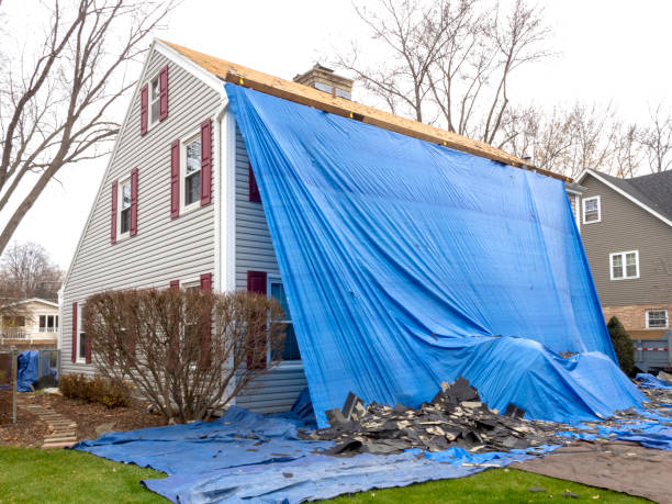 Best Stone Veneer Siding  in Burgaw, NC