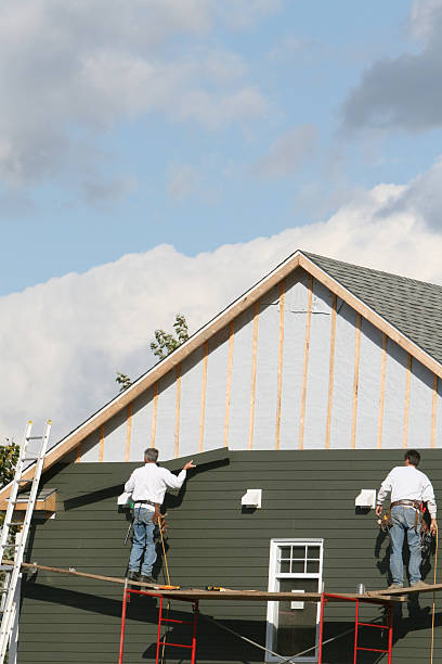 Best Custom Trim and Detailing for Siding  in Burgaw, NC